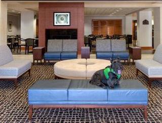 Wingate By Wyndham - Dulles International Hotel Chantilly